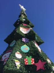 Christmas tree in the San Jose del Cabo Center.